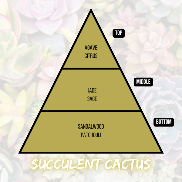Succulent Cactus Candle