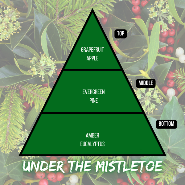 Under the Mistletoe