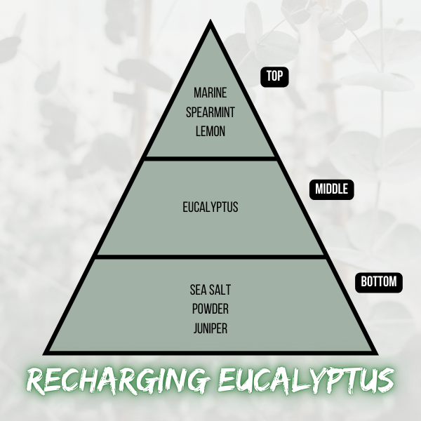 Recharging Eucalyptus