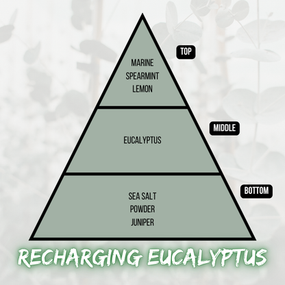 Recharging Eucalyptus Candle