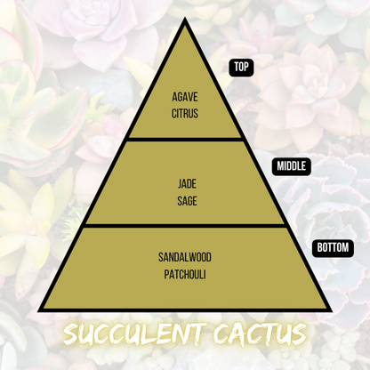 Succulent Cactus Candle