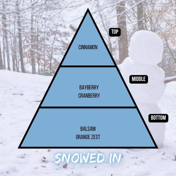 Snowed In